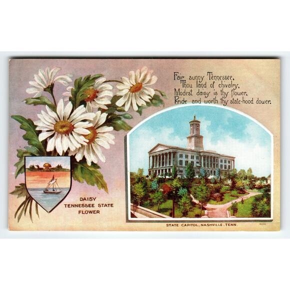 Vintage Tennessee State Capitol & Daisy Flower Postcard, Nashville - Picture 1 of 2